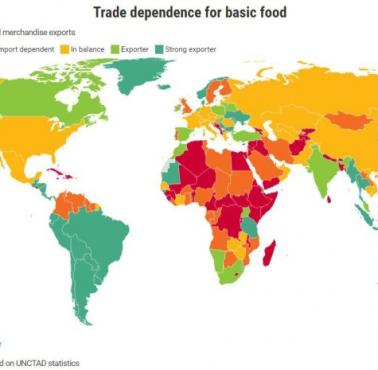 Zależność od światowego handlu podstawową żywnością (Źródło - UNCTAD - czerwiec 2021)