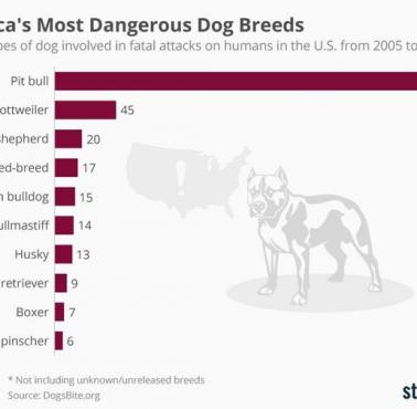 Najgroźniejsze rasy psów w USA, 2005-2017