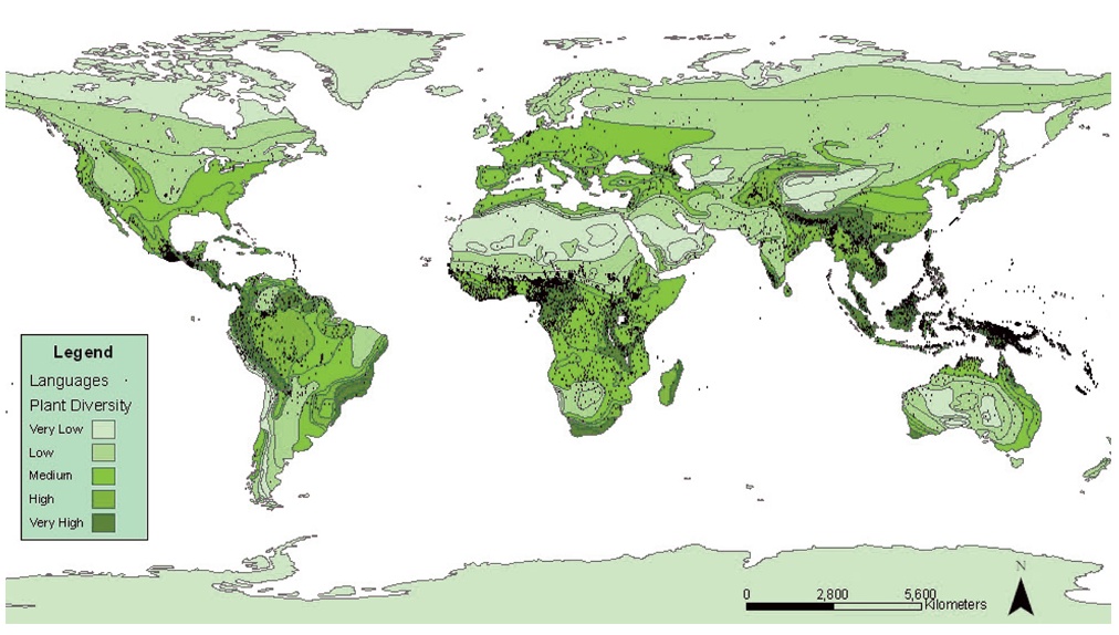 Różnorodność roślin odpowiadająca różnorodności językowej