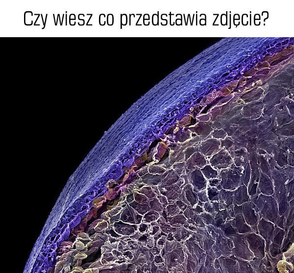 Czy wiesz co przedstawia zdjęcie?