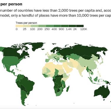 Drzewa na osobę na całym świecie