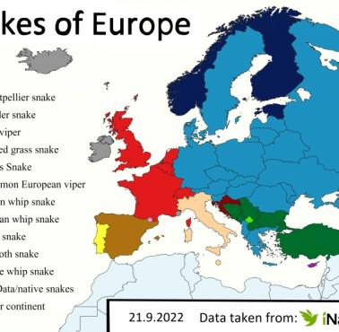 Najczęściej spotykany wąż w każdym europejskim kraju