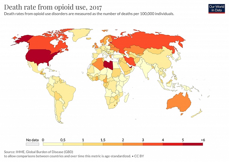 Wskaźniki śmiertelności z powodu przedawkowania narkotyków na świecie na 100 tys. mieszkańców, 2017