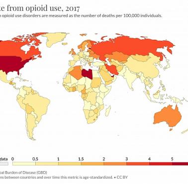 Wskaźniki śmiertelności z powodu przedawkowania narkotyków na świecie na 100 tys. mieszkańców, 2017