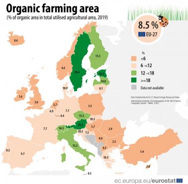Powierzchnia upraw ekologicznych w %, średnia dla całej UE wynosi 8,5%, 2019