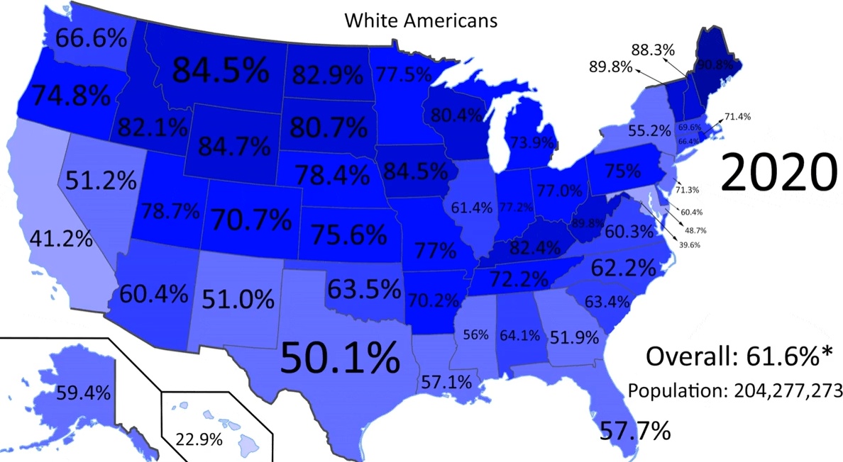 Zmiana odsetka białej populacji w USA z podziałem na stany w latach 1960-2020 (animacja)
