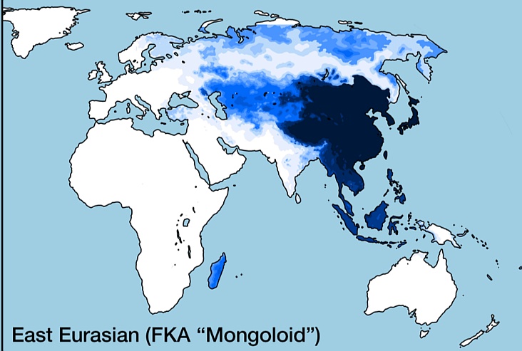 Typ mongoloidalny - występujący w Azji jeden z typów antropologicznych człowieka rasy żółtej