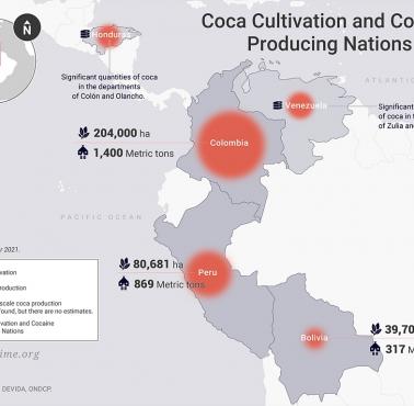 Uprawa koki i kraje produkujące kokainę 2022