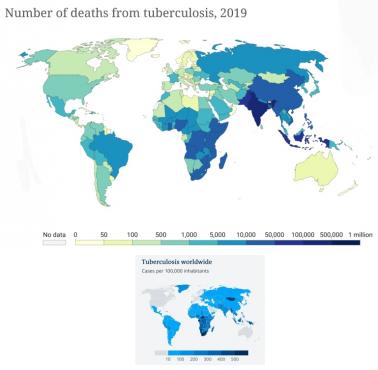 Liczba zgonów z powodu gruźlicy, 2019