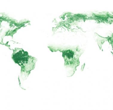 Wszystkie lasy na świecie. TOP3 Rosja, Brazylia, Kanada, źródło Adam Symington