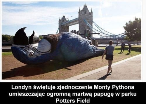 Londyn świętuje Monty Pythona.