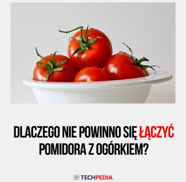 Dlaczego nie powinno się łączyć pomidora z ogórkiem?