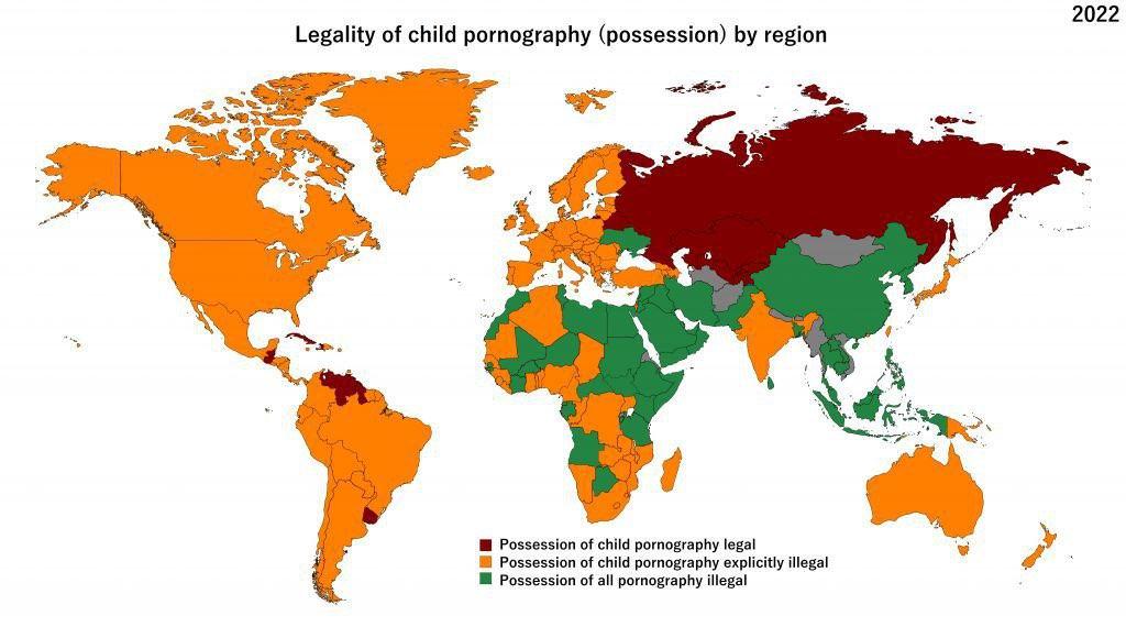 Uregulowania prawne związane z przechowaniem dziecięcej pornografii, 2022