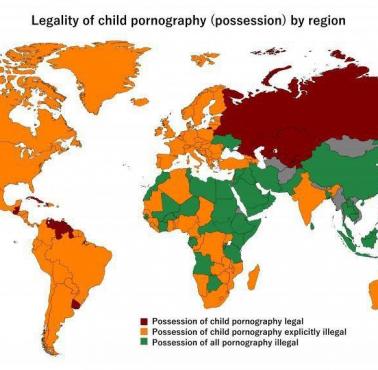 Uregulowania prawne związane z przechowaniem dziecięcej pornografii, 2022