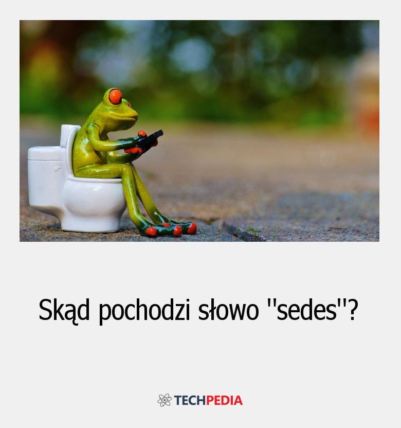 Skąd pochodzi słowo “sedes”?