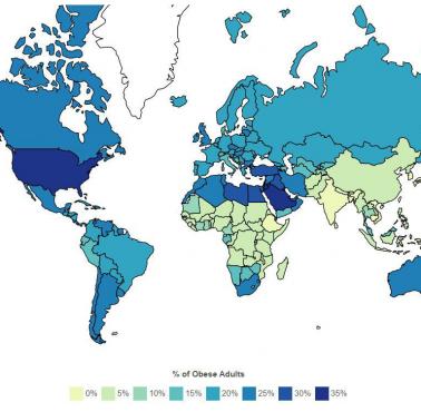 Odsetek osób mających problem z otyłością w poszczególnych krajach świata w 2023 r.