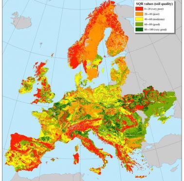 Rodzaje gleb z podziałem na ich jakość w Europie