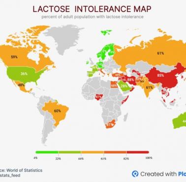 Odsetek ludzi trawiących zawartą np: w mleku laktozę, mapa świata