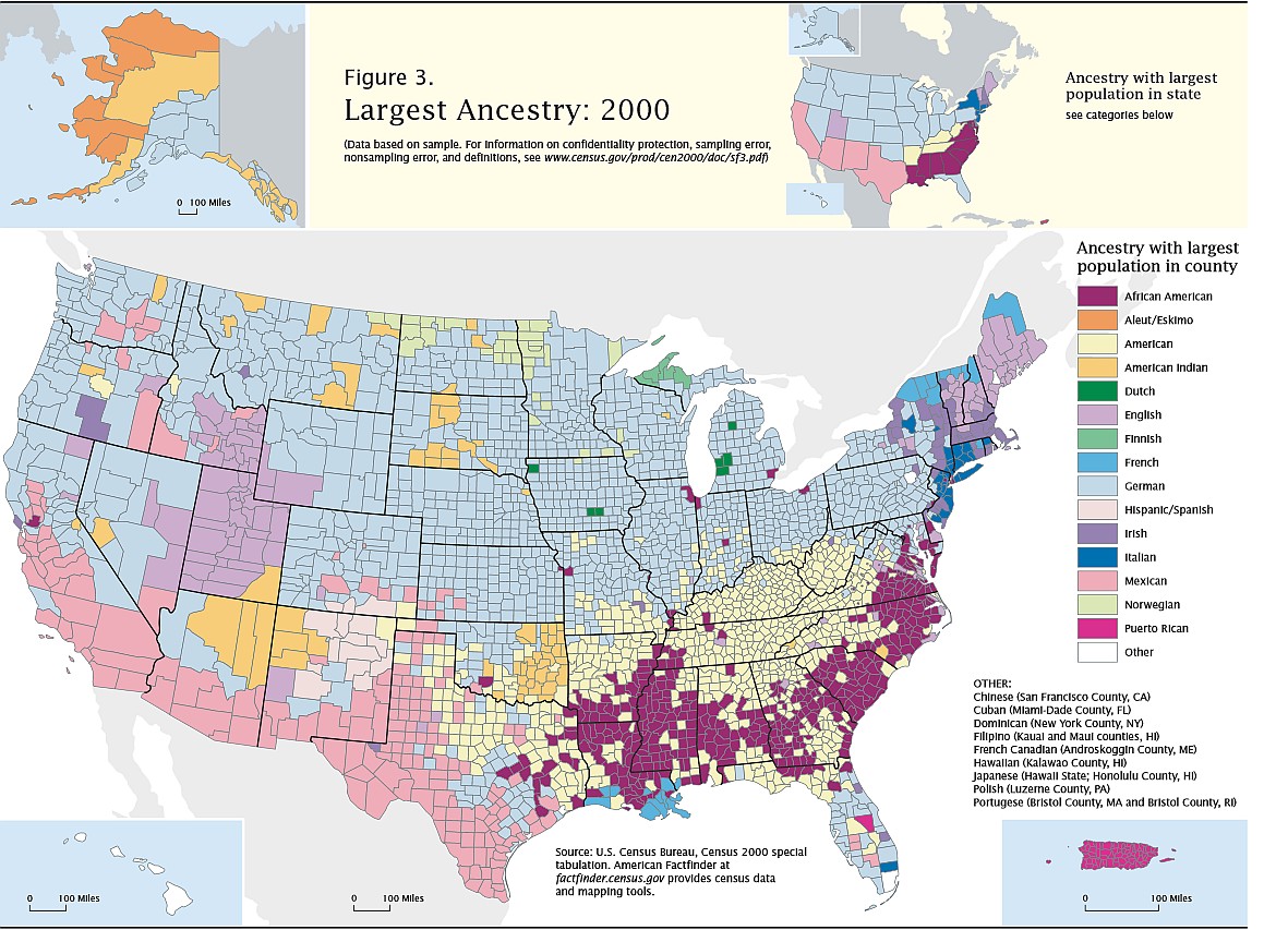 Pochodzenie mieszkańców USA na podstawie spisu z 2000 roku