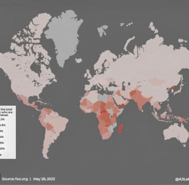 Obszary świata, gdzie występuje niedożywienie, 2023
