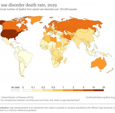 Zgony spowodowane używaniem opioidów (np. heroina) w 2019 roku