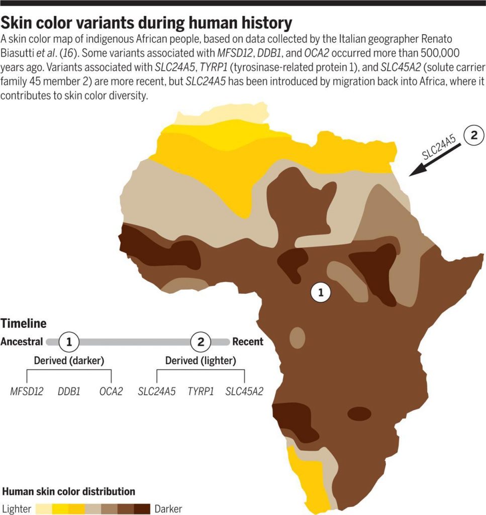 Mapa koloru ludzkiej skóry z odcieniami w Afryce