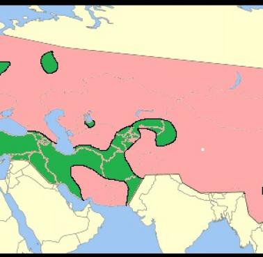 Imperium mongolskie w 1276 roku, kolorem różowym zaznaczono obszar słabo zaludniony