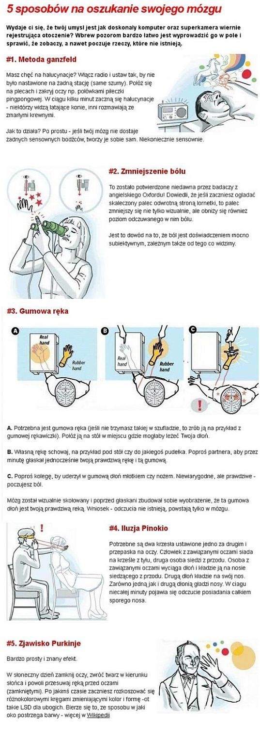 Pięć sposobów na oszukanie swojego mózgu