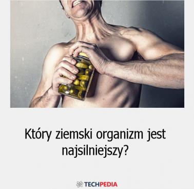 Który ziemski organizm jest najsilniejszy?