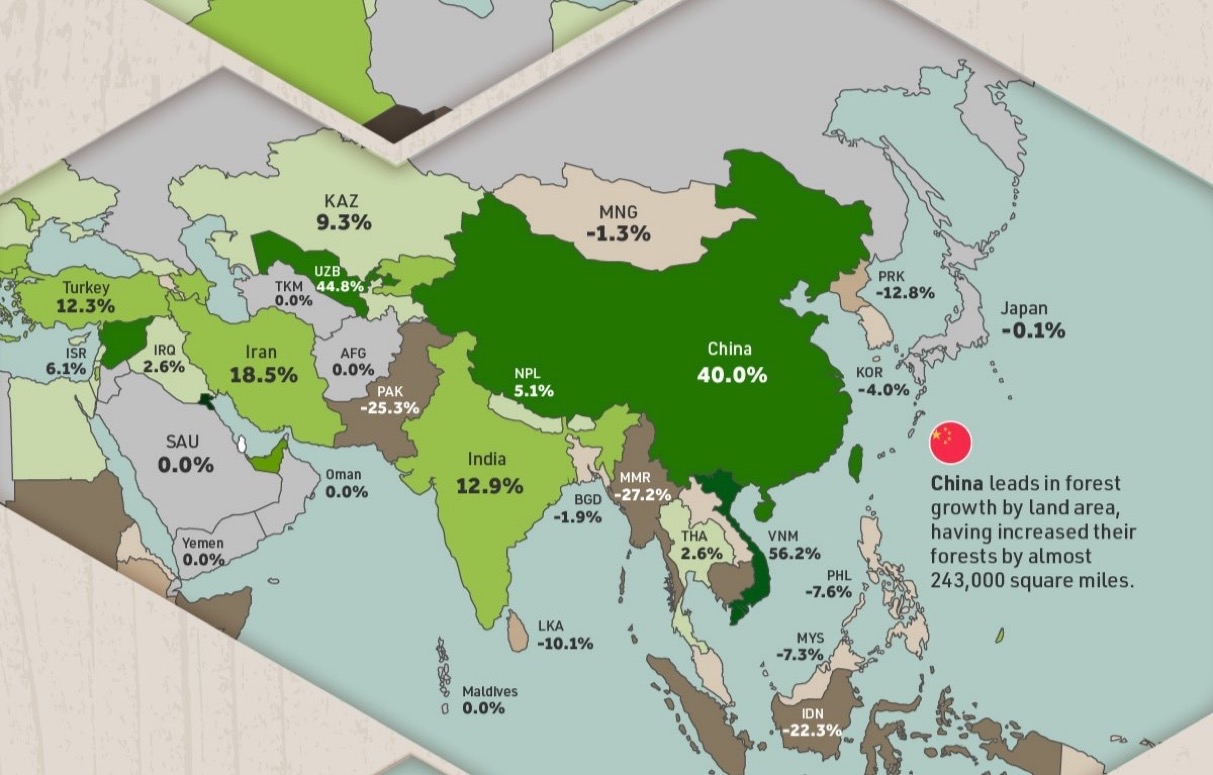 Mapa sadzenia drzew w ciągu ostatnich 20 lat w Azji: Chiny zasadziły więcej drzew niż wszystkie inne państwa świata