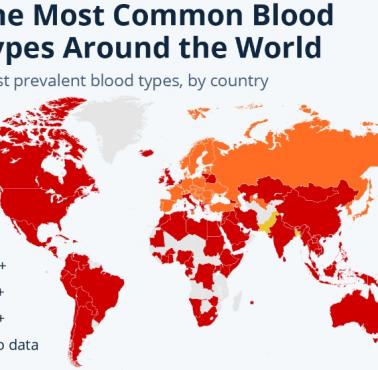 Najbardziej rozpowszechnione grupy krwi w każdym kraju