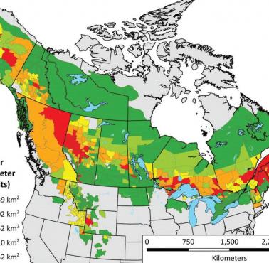 Zasięg występowania łosi w Ameryce Północnej