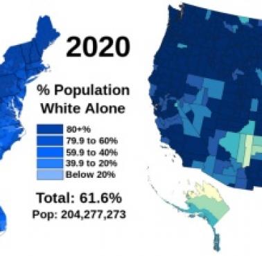 Biała populacja z podziałem na hrabstwa w USA w 1940 i 2020 roku