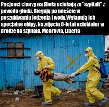 Ebola w Afryce.