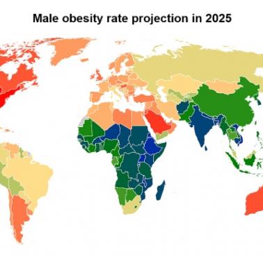 Prognoza wskaźnika otyłości wśród mężczyzn na świecie w 2025 r., WHO