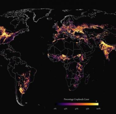 Mapa pokazująca, gdzie znajdują się wszystkie pola uprawne na świecie