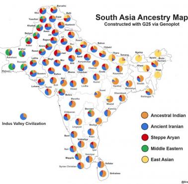 Mapa genetyczna Azji Południowej