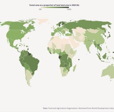 Kraje z największą pokrywą leśną (lesistość) na świecie