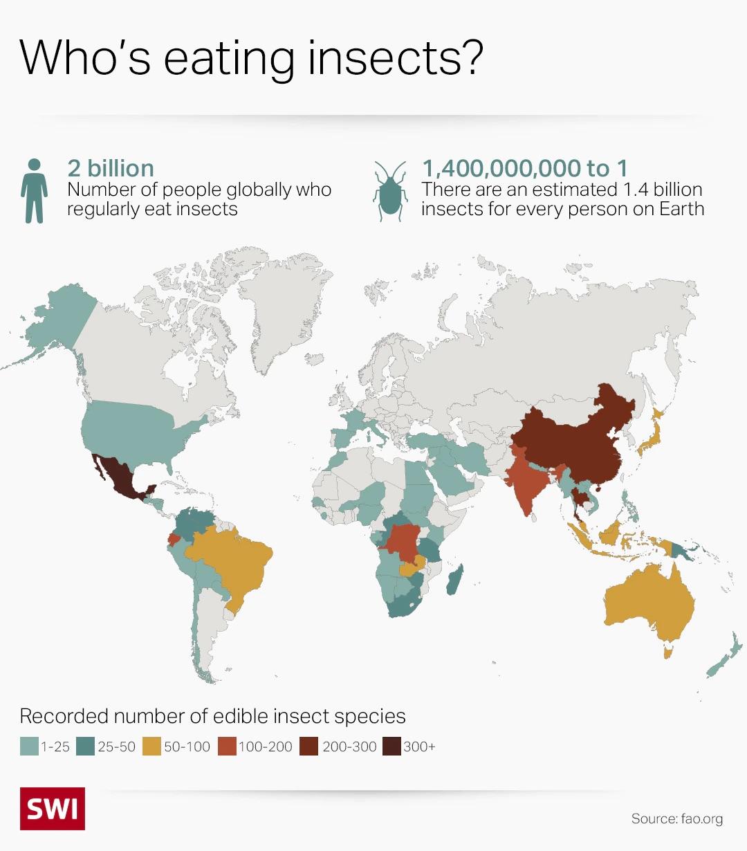 Gdzie na świecie je się owady?