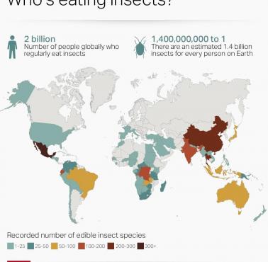 Gdzie na świecie je się owady?