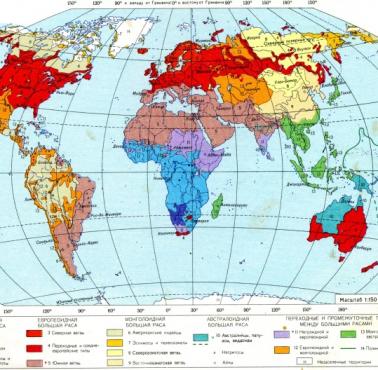 Rasowa (etniczna) mapa świata, 1982