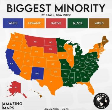 Największa mniejszość według stanu, USA 2022