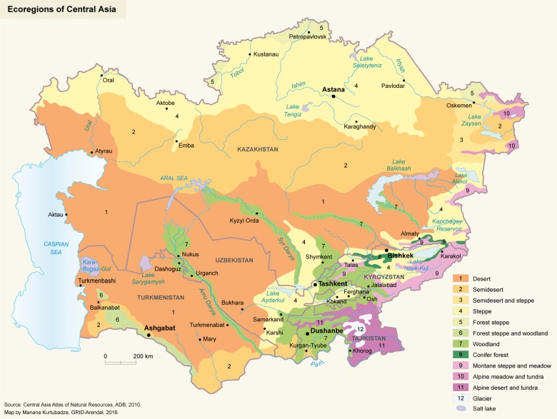 Ekoregiony Azji Środkowej (Kazachstan ...)
