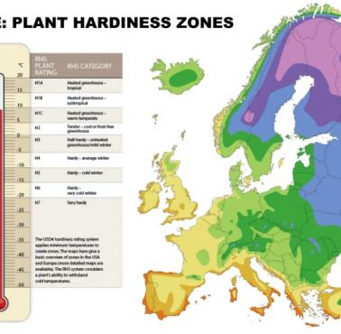 Strefy mrozoodporności roślin w Europie: im wyższy numer strefy, tym cieplejsze zimy
