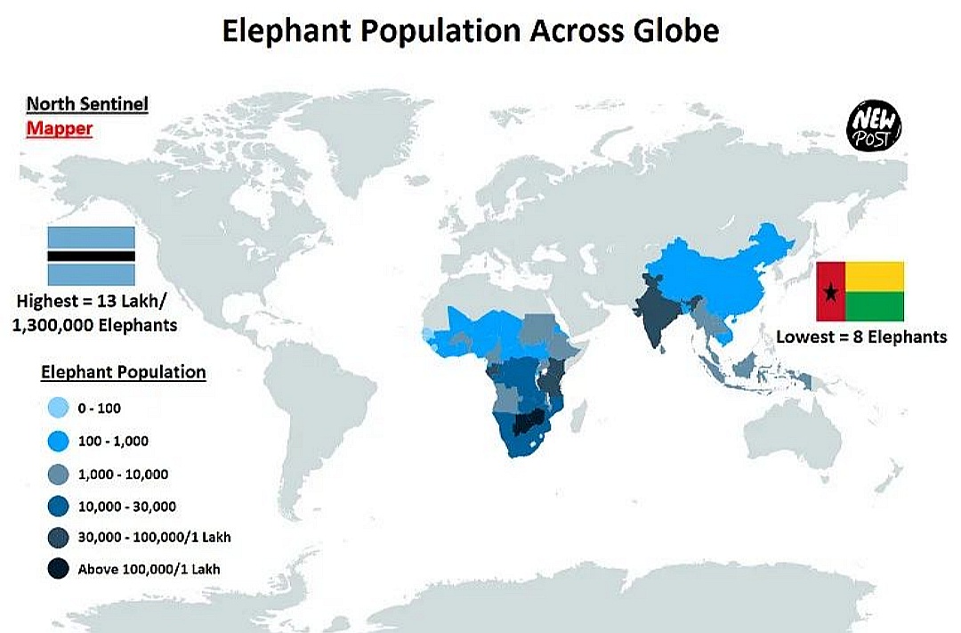 Liczebność słoni na świecie
