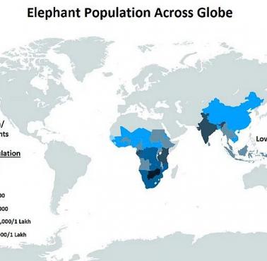 Liczebność słoni na świecie