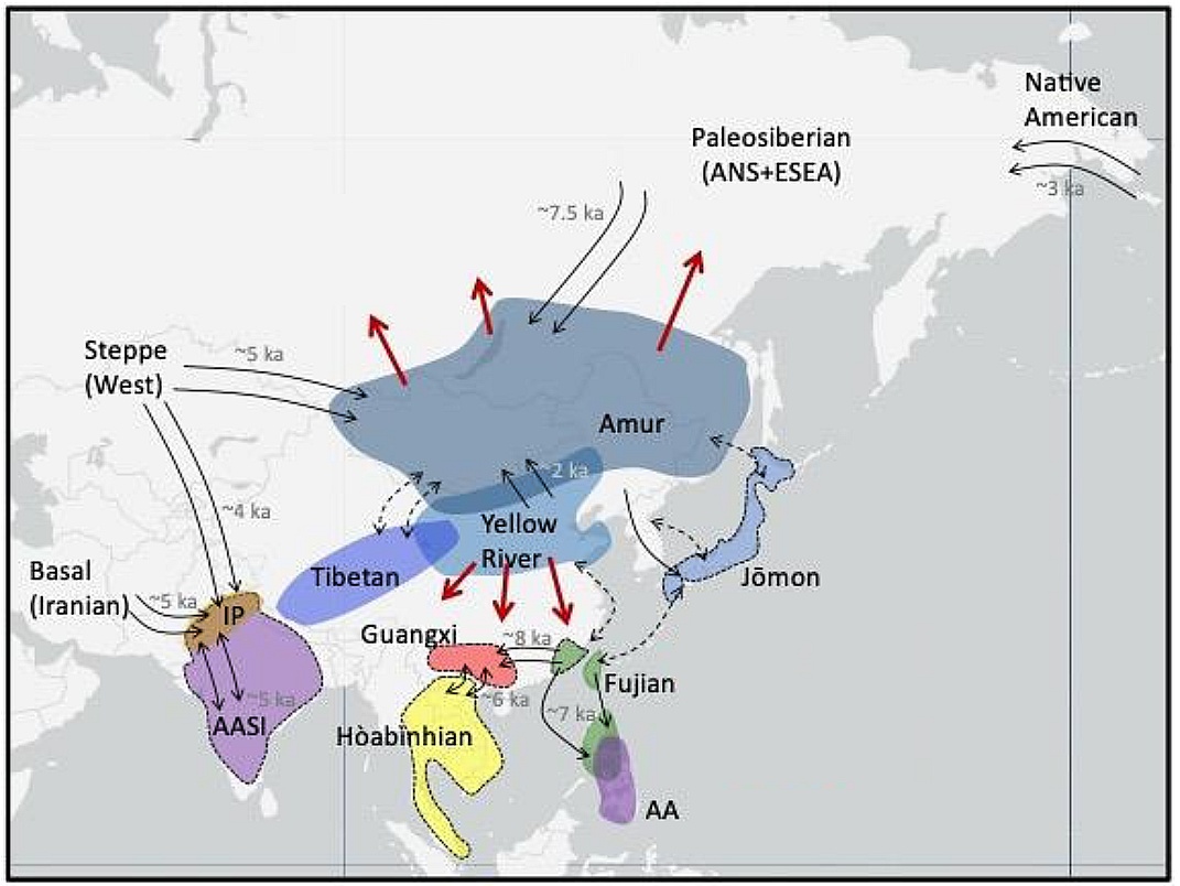 Główni przodkowie w Azji z ostatnich 15 tys. lat
