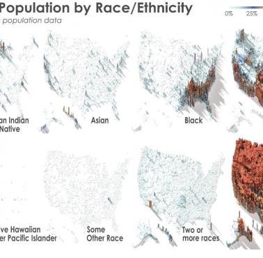 Mapa etniczna USA z podziałem na czarnoskórych, białych, Azjatów, Latynosów .... 2020