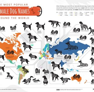 Najpopularniejsze imiona dla psów na całym świecie