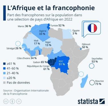 Używanie francuskiego jako języka urzędowego w Afryce